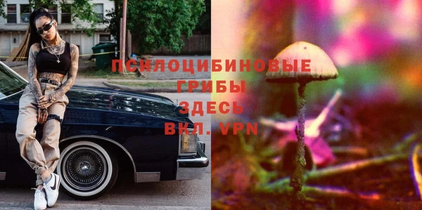 дживик Белокуриха