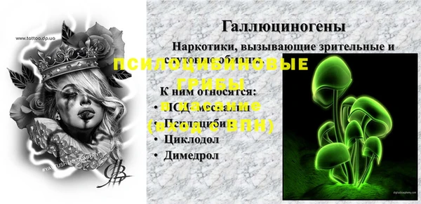 дживик Белокуриха