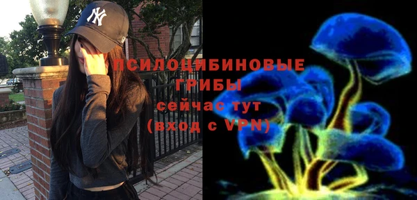 дживик Белокуриха
