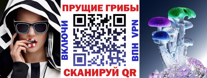 купить закладку  Вязьма  Псилоцибиновые грибы прущие грибы 