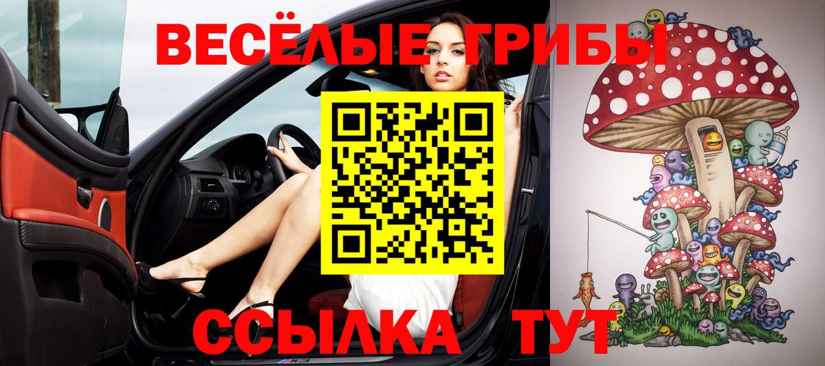Вязьма  Галлюциногенные грибы MAGIC MUSHROOMS  как найти закладки  Вход с VPN 